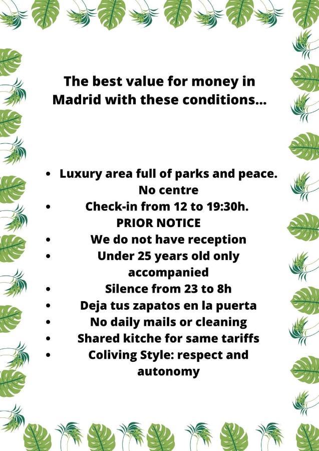 Paraiso Rooms Coliving Madrid Eksteriør billede